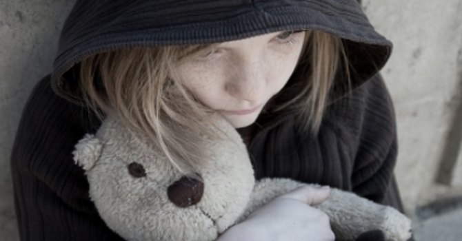 Tigers In The Trees image